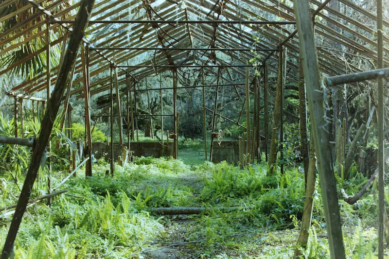 a green house firm shown in image