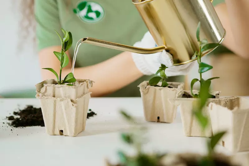Person is watering the plants with the jar