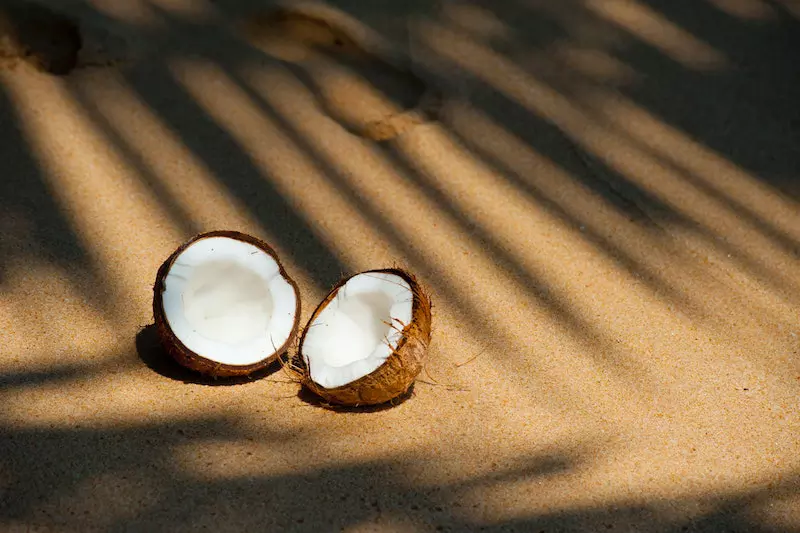 coconut on the sand