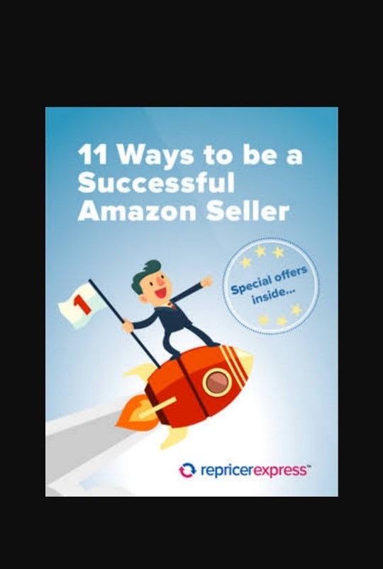 Book of 11 ways to be a successful Amazon seller.