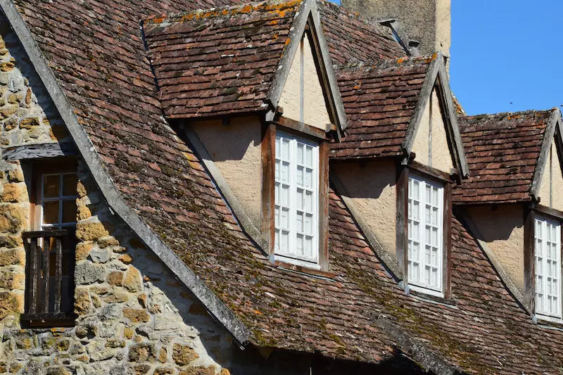 Lodge ruff shown in this picture