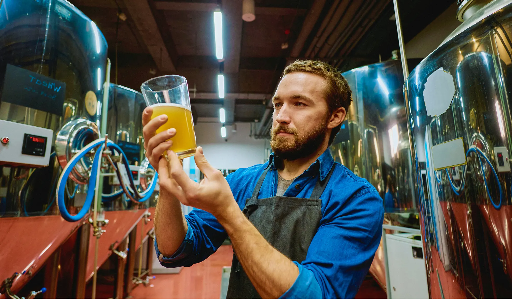 Bearded man in a blue shirt and apron inspecting a glass of beer in a brewery with large stainless steel tanks in the background.