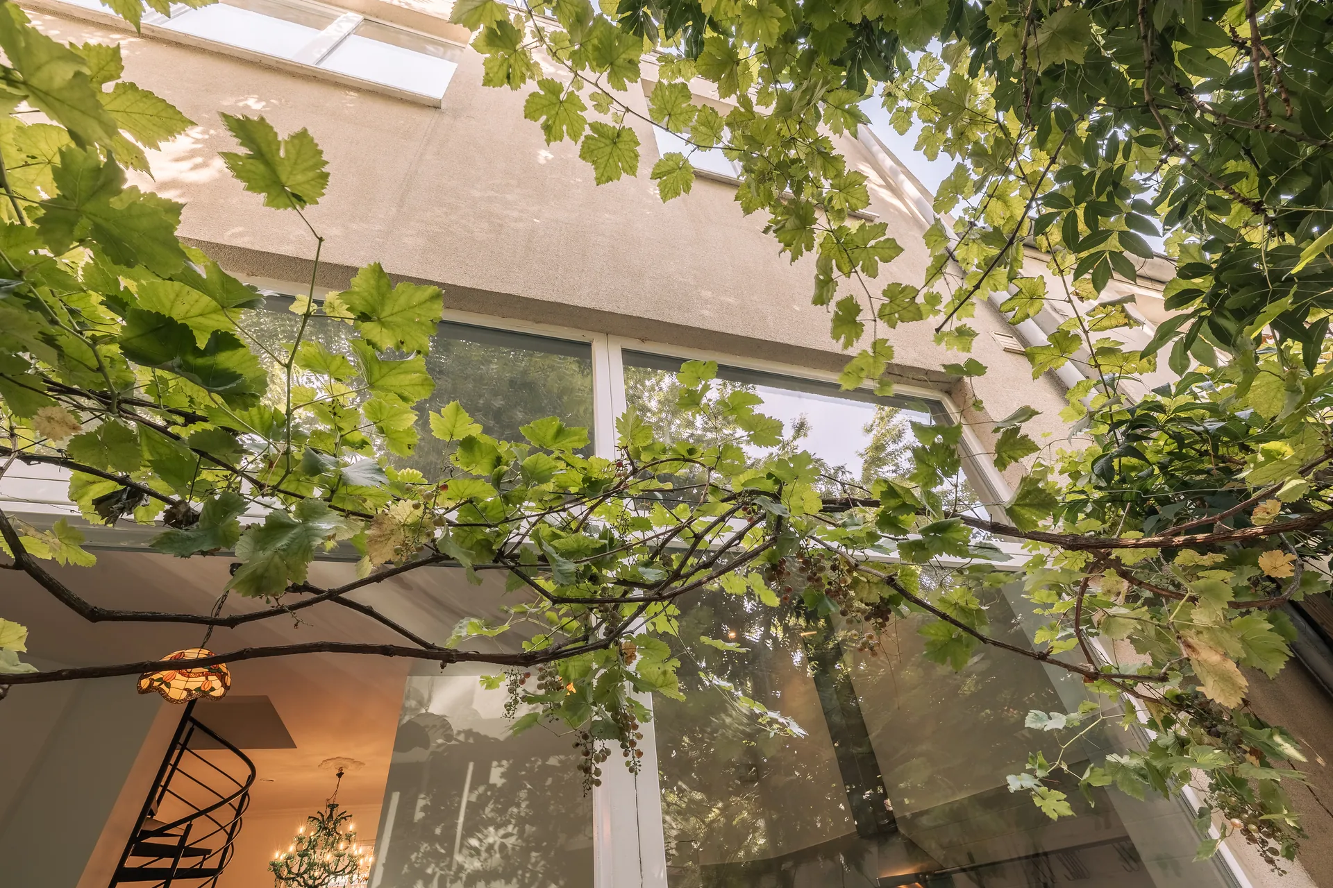 Patio intérieur sous la vigne, vue sur la verrière — maison rénovée à Saint-Gilles, Bruxelles