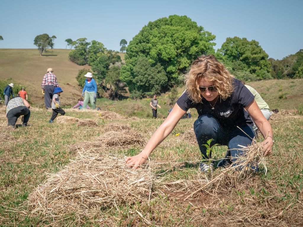 Bénévoles plantant des arbres et entretenant un espace naturel dans le cadre d’une action environnementale.
