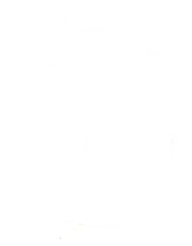 stop watch icon 