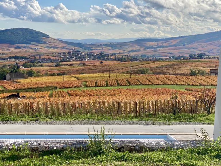Domaine Lachat Beaujolais