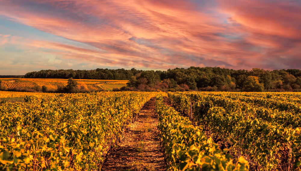 Loire vallei