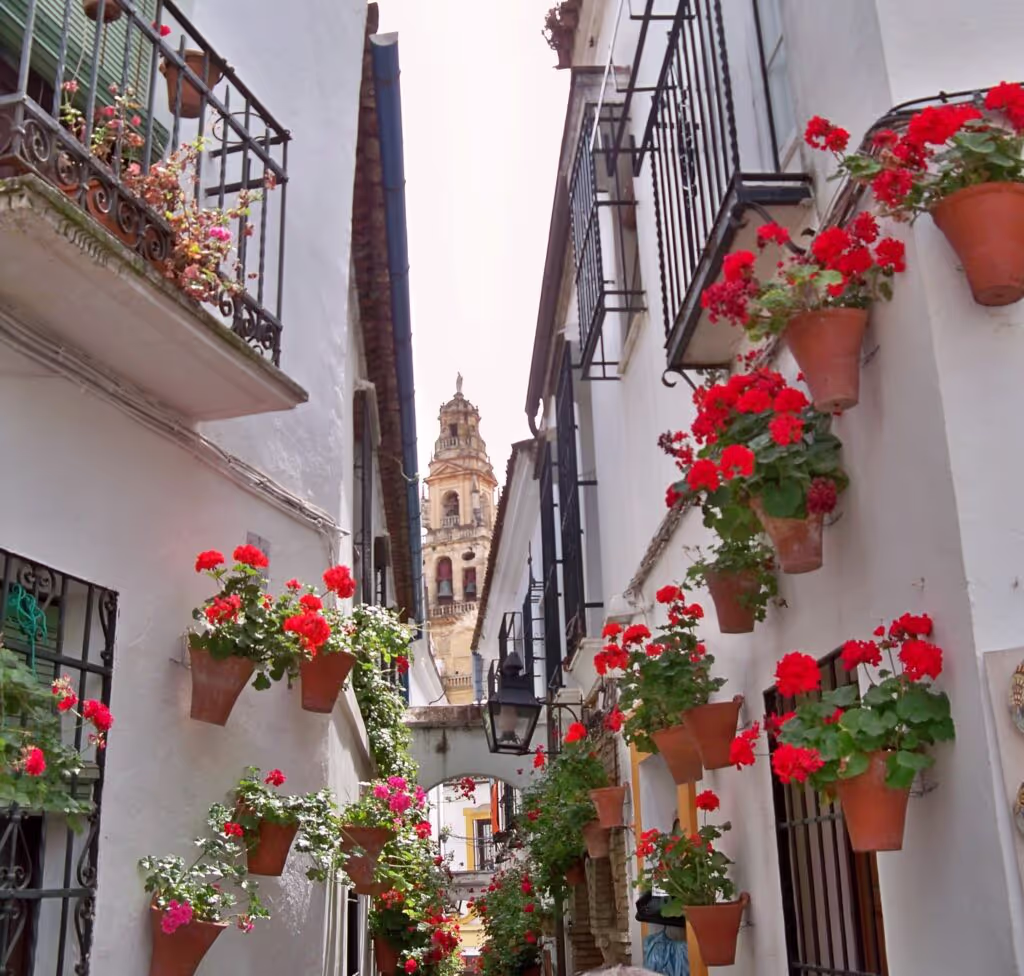 Cordoba