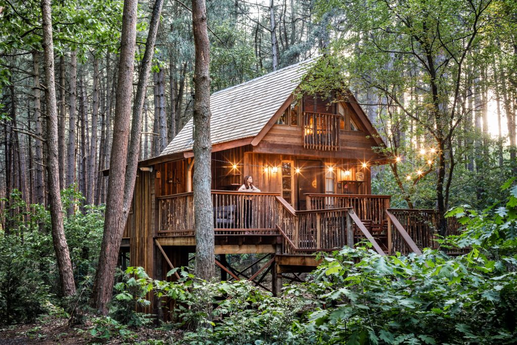 Treelodge België