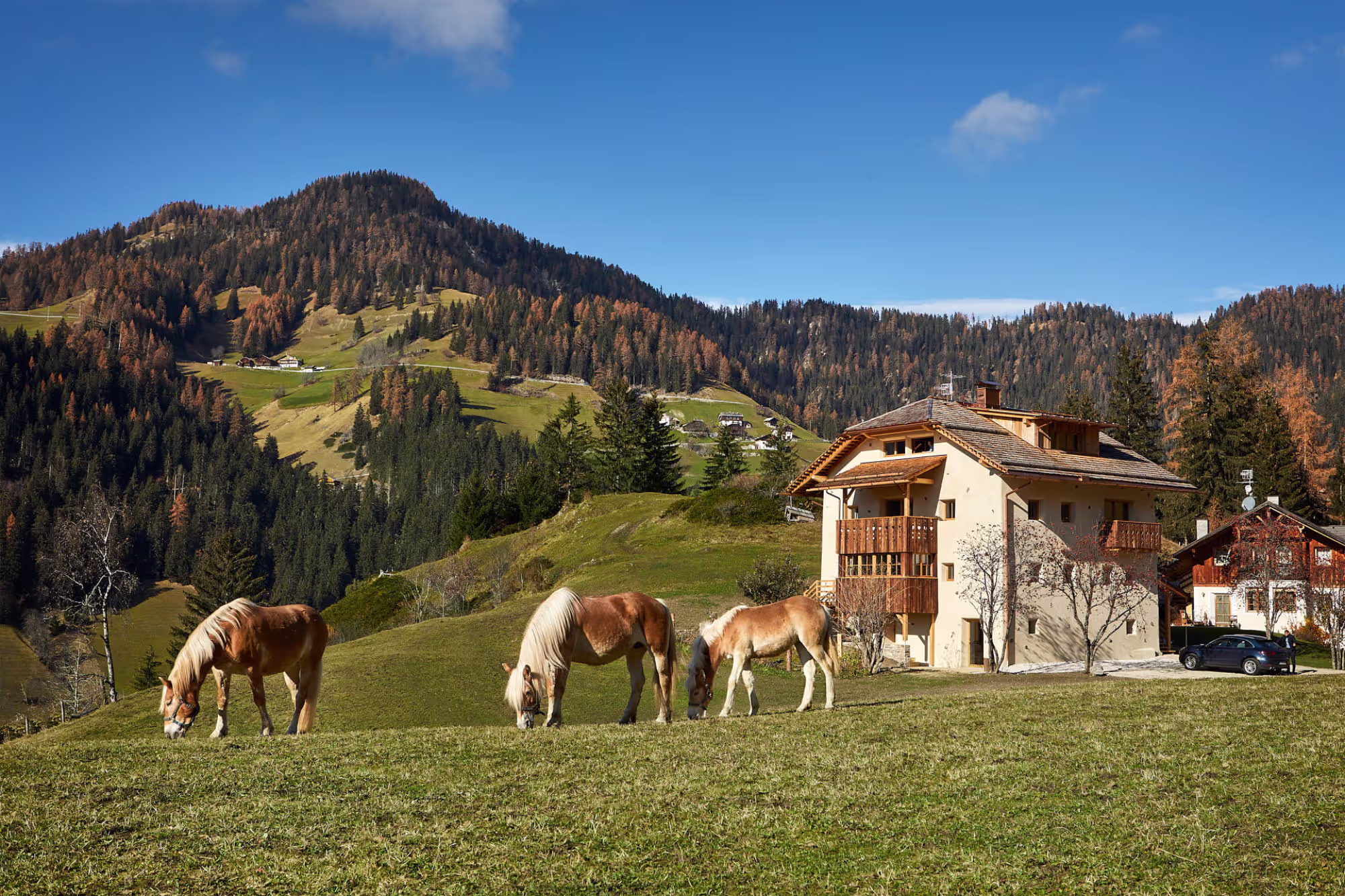 Chalet Sotciastel – Zuid-Tirol, Italië