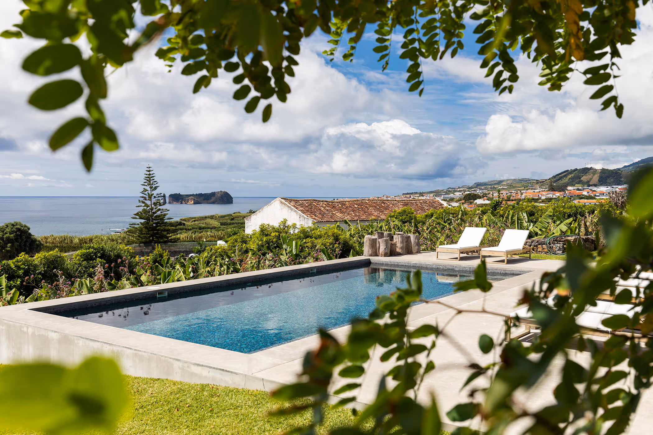 Guava Azores – Azoren, Portugal