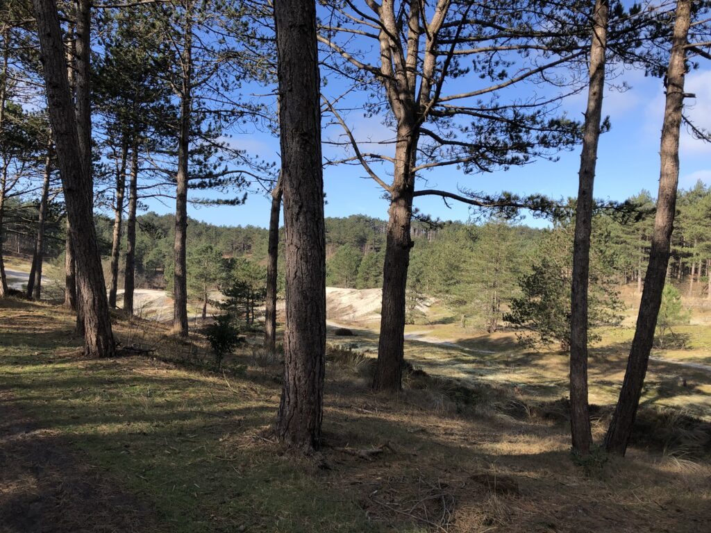 Bergen Noord-Holland