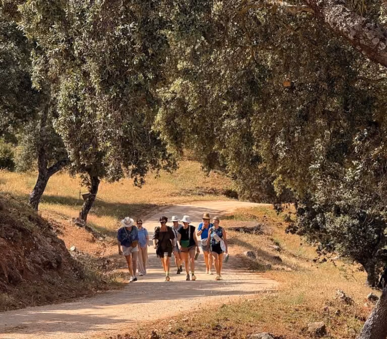 Wandering Ladies