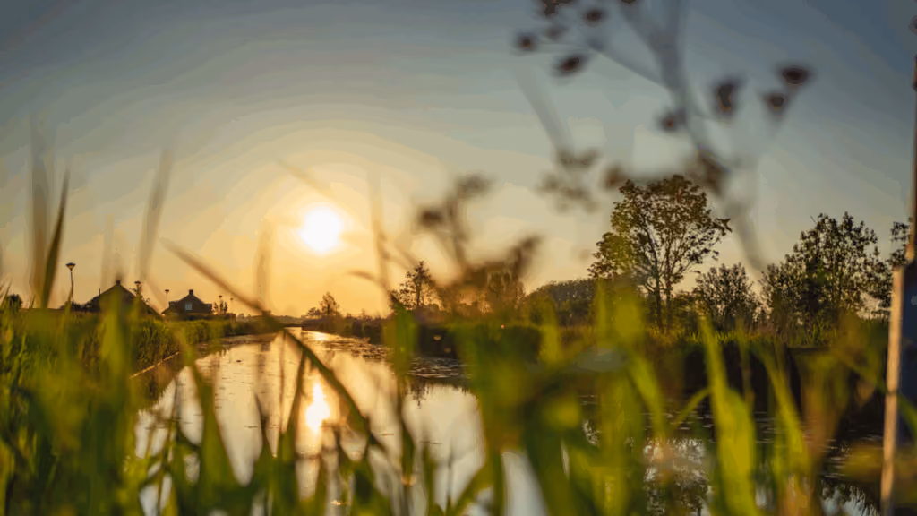 Vrijhaven Zwier Blog