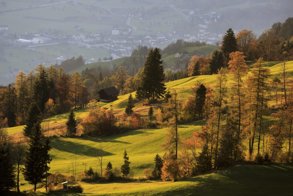 Herfst Ardennen
