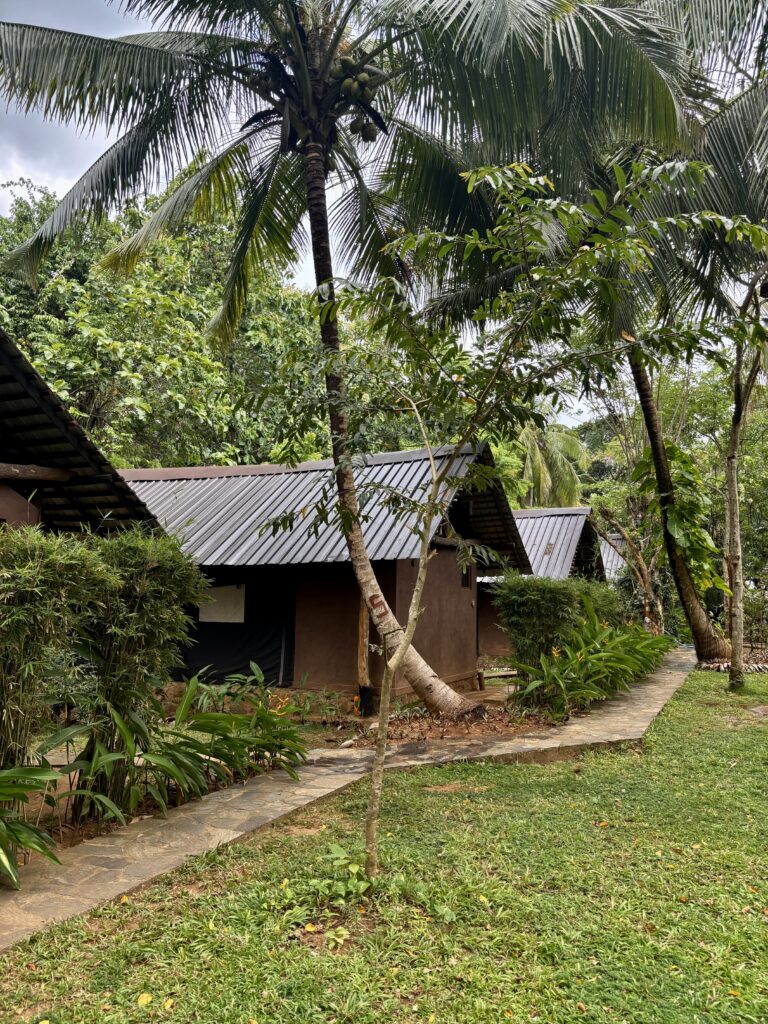 Athgira River Camp