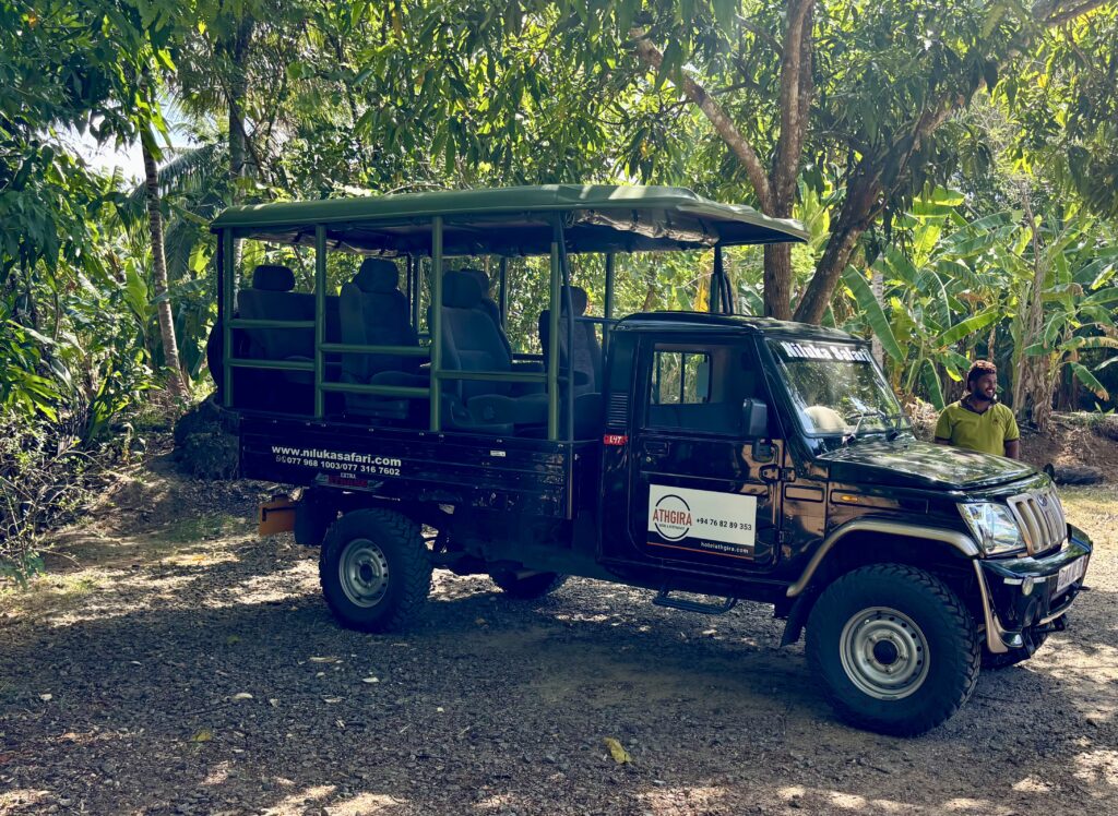 Udawalawe Safari