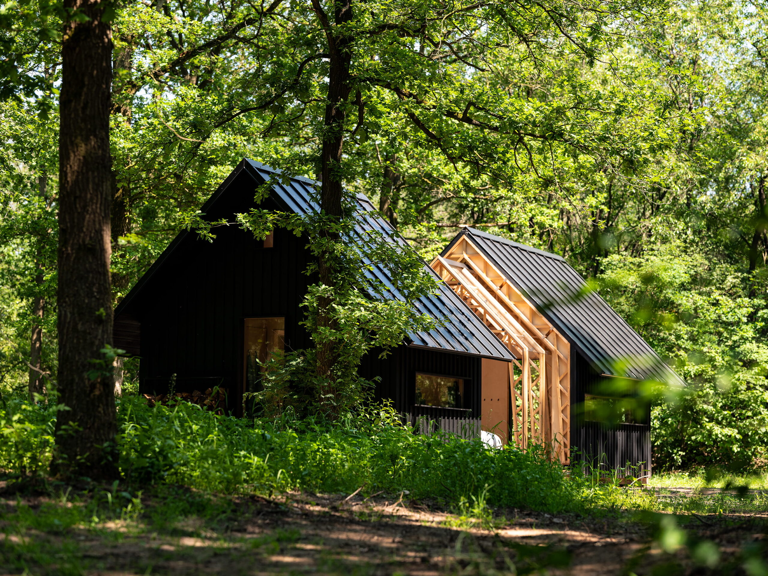 Cabin ANNA
