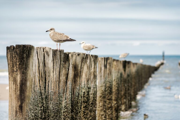 Zeeland