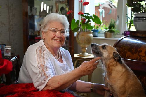 Two contemporary dancers performing at night, illuminated by a handheld light tube against a dark brick wall backdrop.