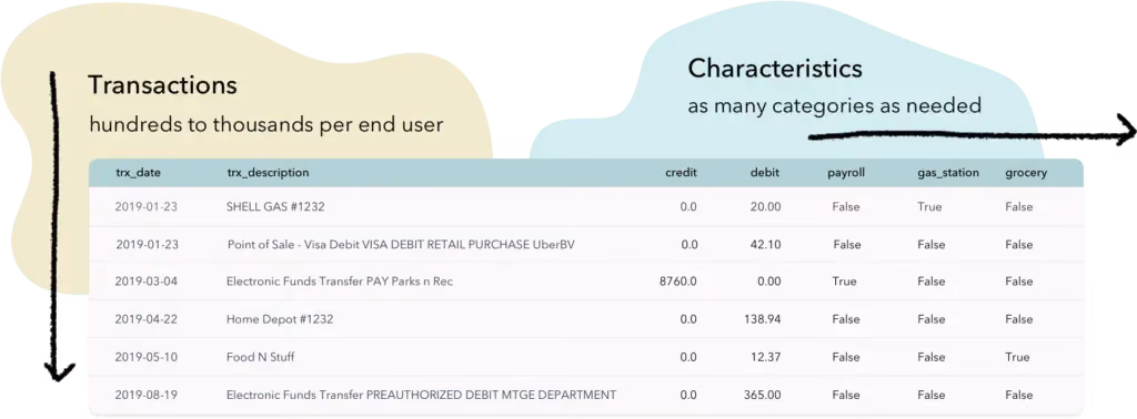 We input cleaned and categorized data into a pandas DataFrame to manipulate transactions based on their characteristics.