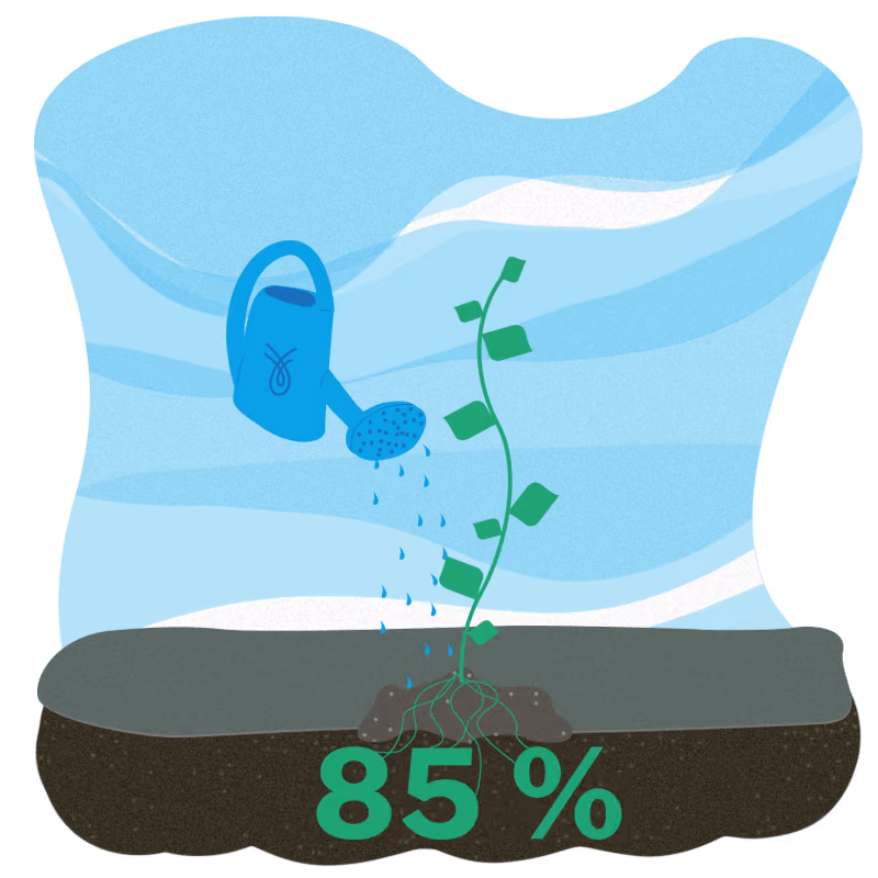 An overwhelming majority of Spring’s customers—around 85%—choose to connect their financial accounts with Flinks in order to complete a loan application.