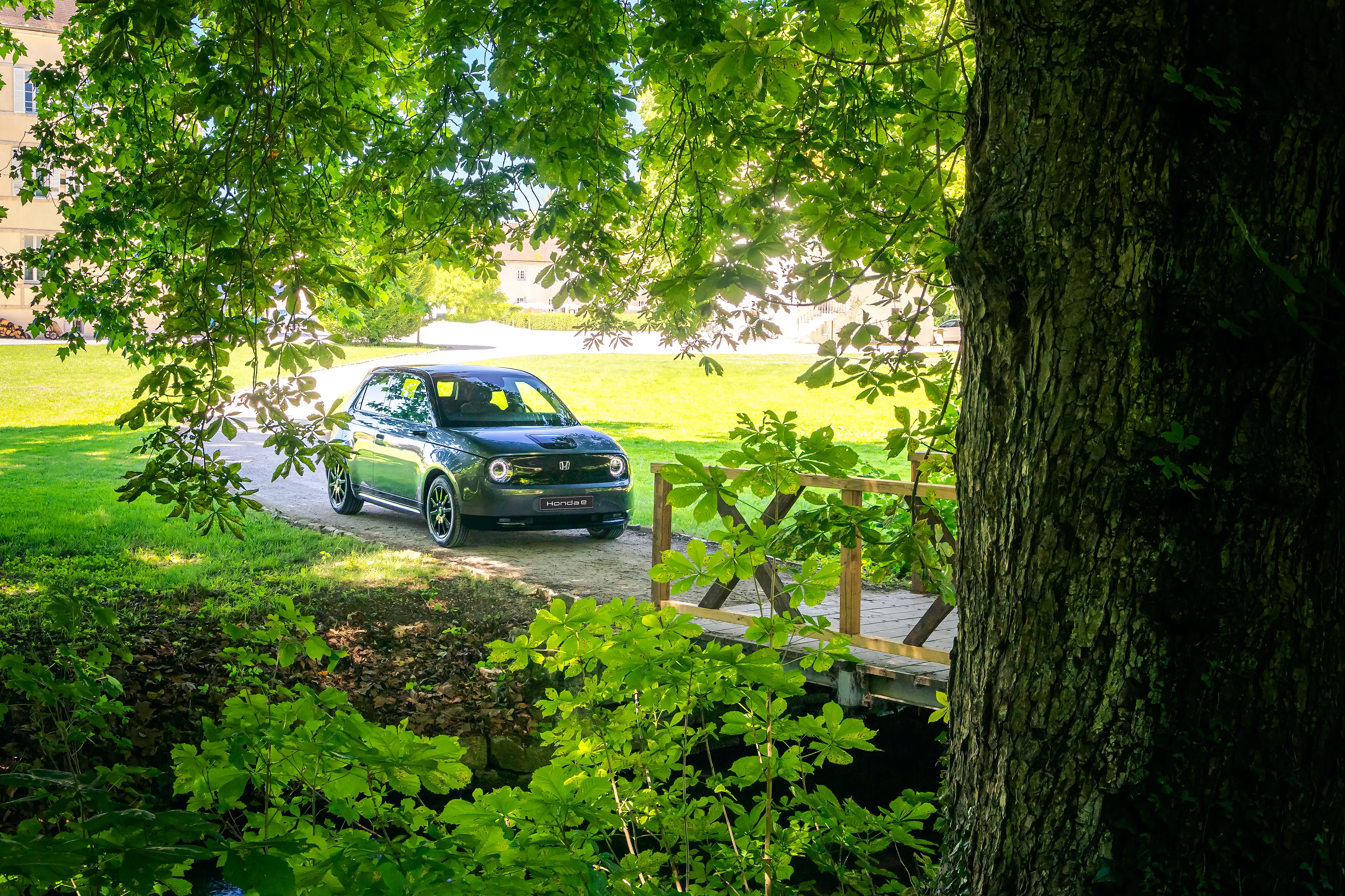 Honda E grise anthracite de 3/4 avant derrière un arbre et des feuilles