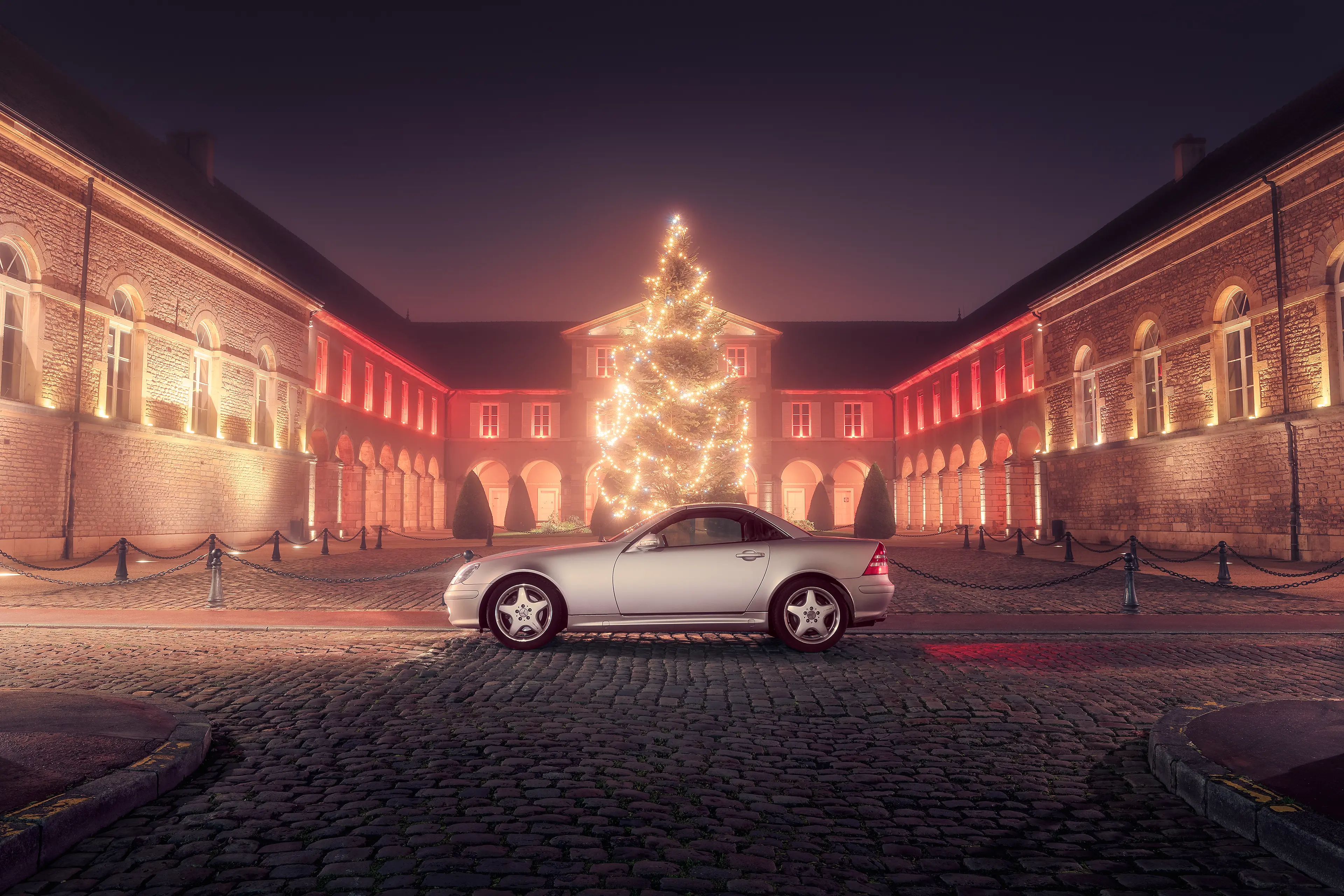 Mercedes SLK R170 grise de profil devant un sapin à la mairie de Beaune