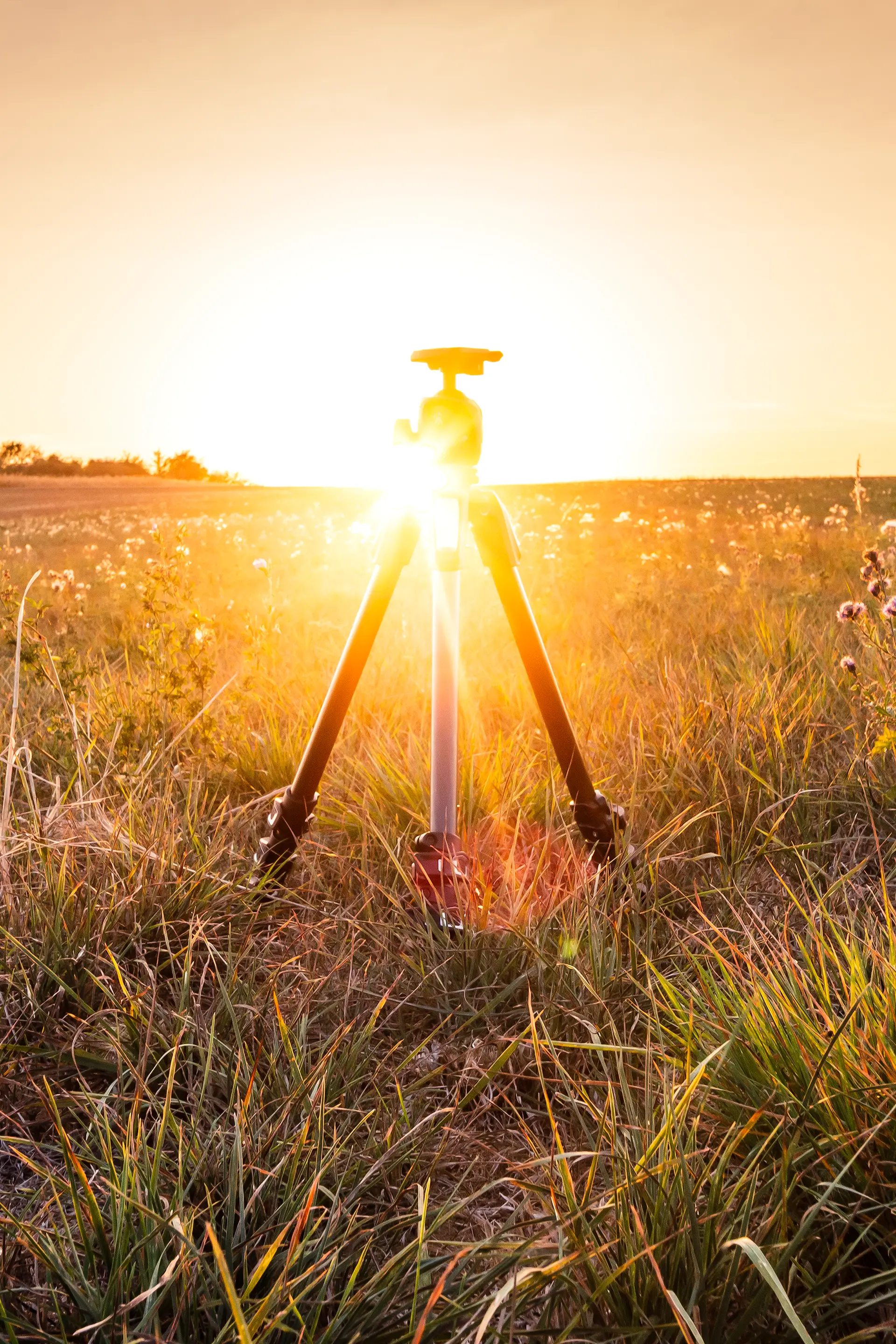 Trépied Manfrotto posé dans un champ au coucher du soleil