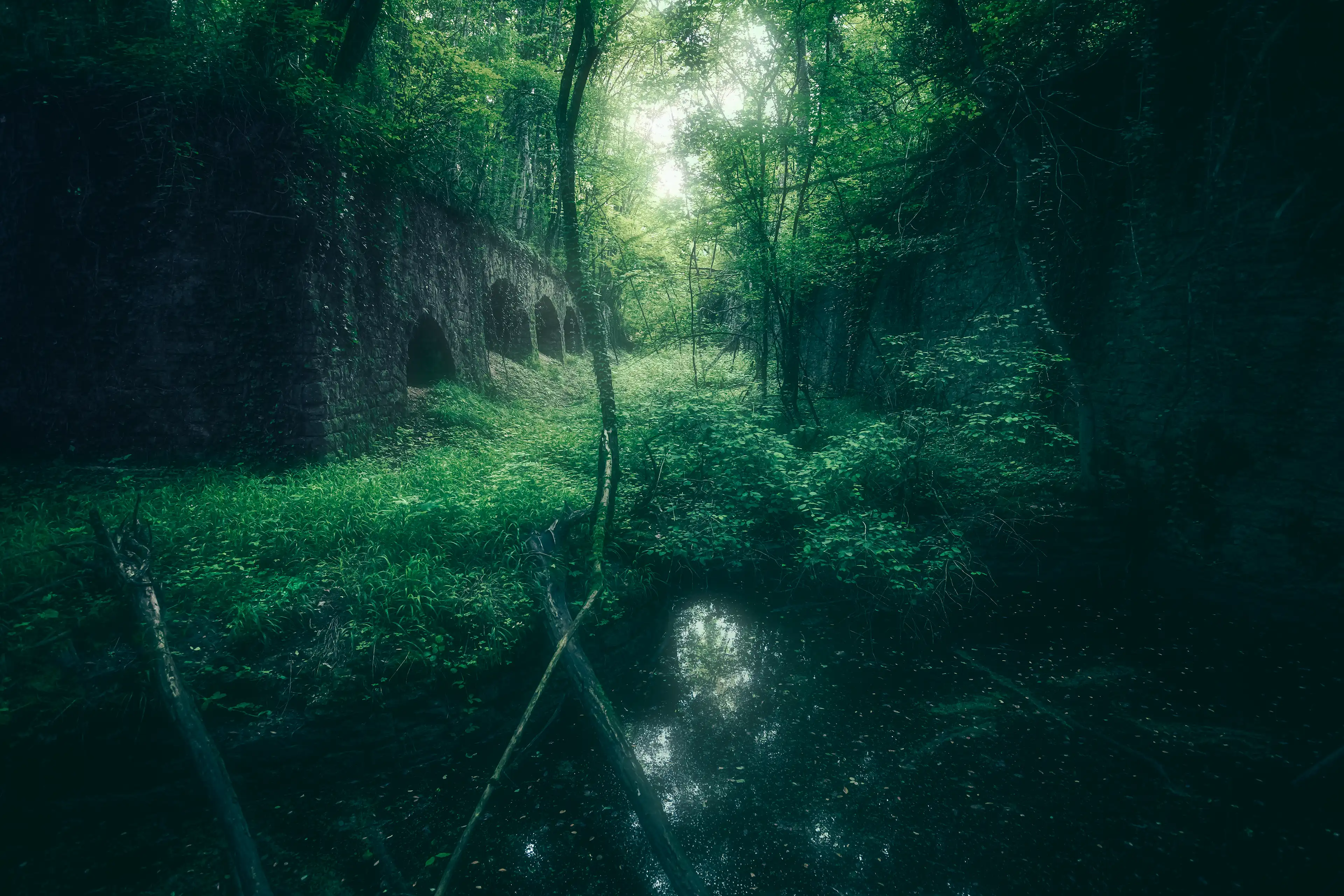Site urbex, le fort de Varois en Côte d'Or, majoritairement teinté de vert au rendu féérique