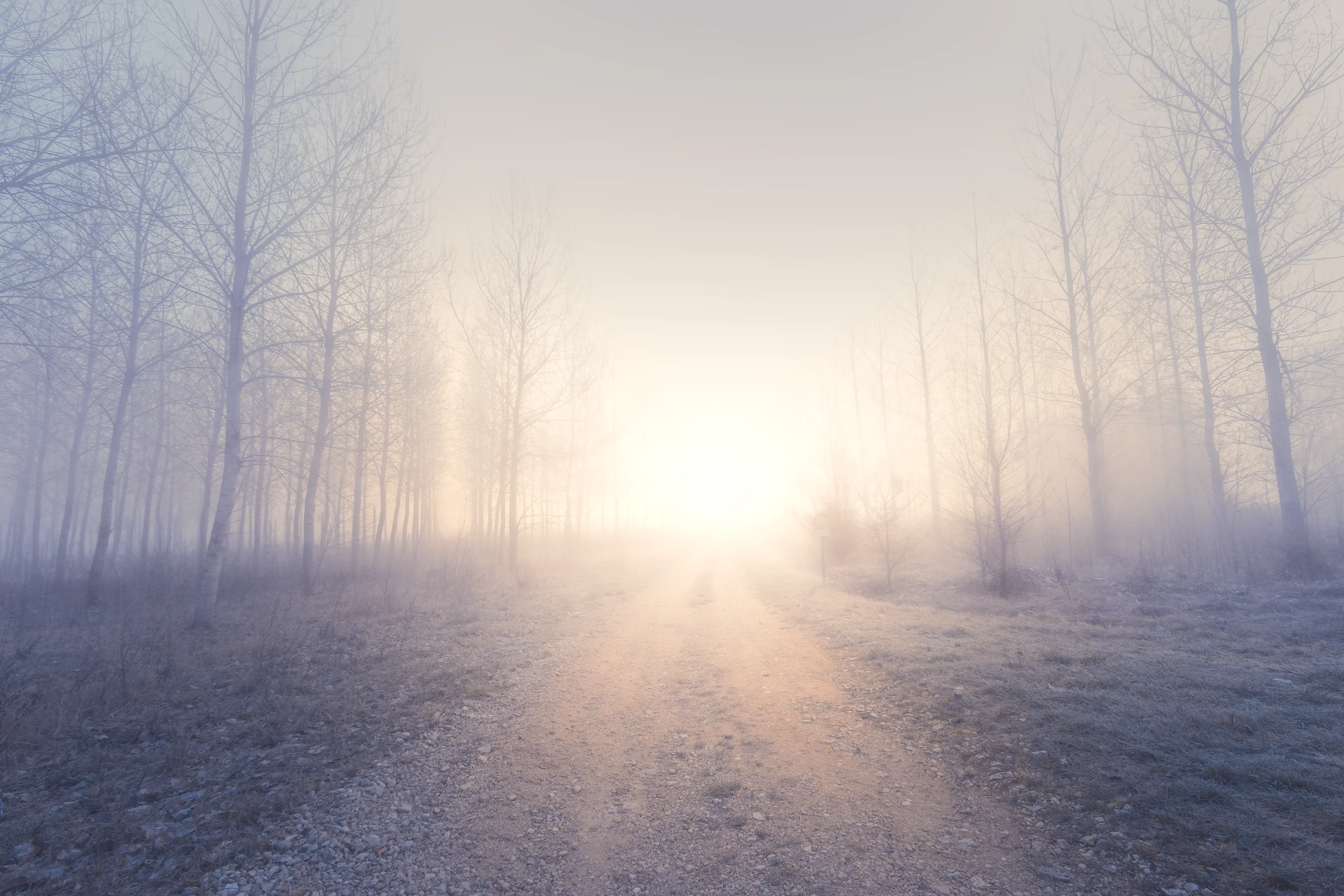 Lever de soleil sur un chemin de cailloux avec du brouillard