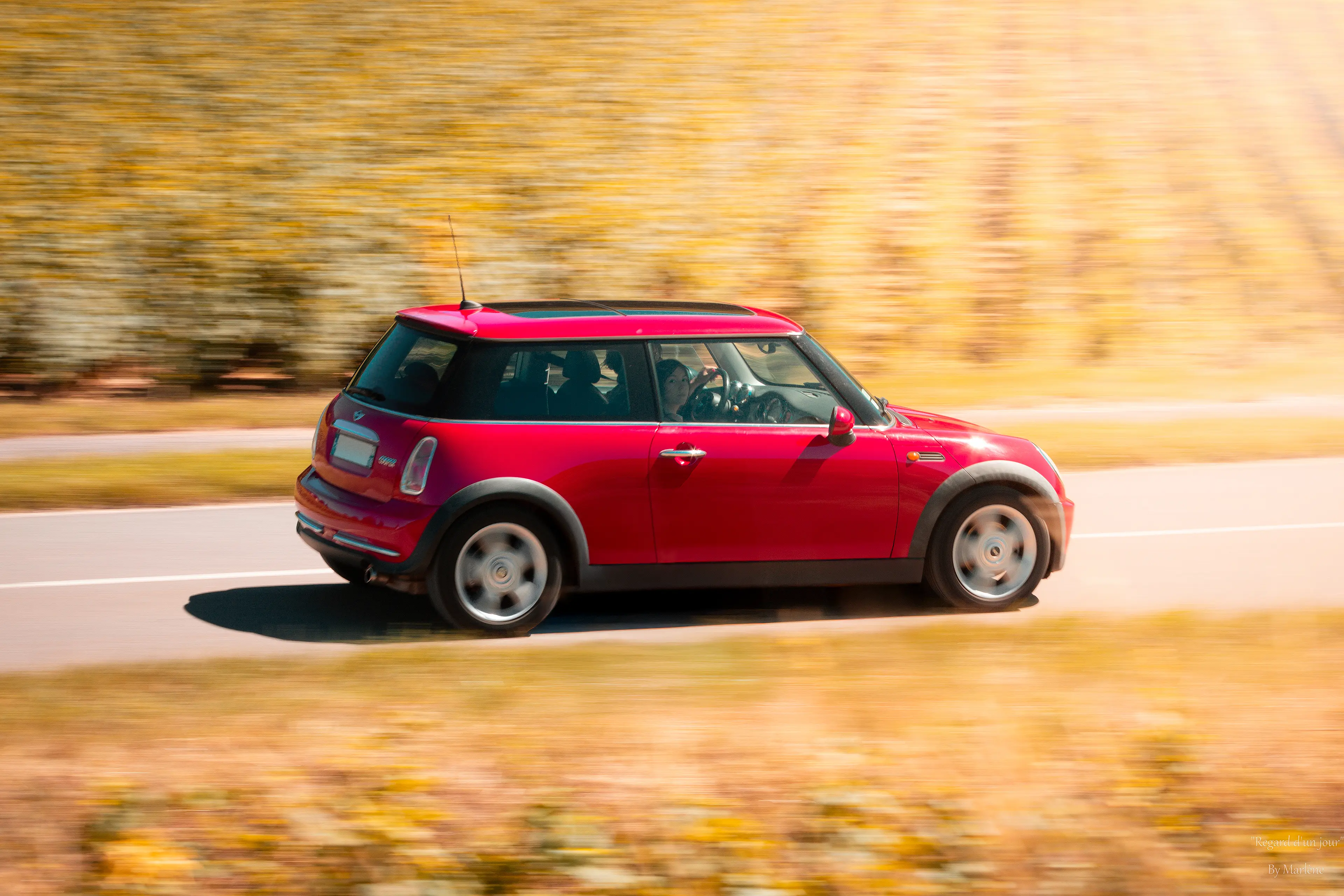 Mini Cooper Rouge roulant sur une route à travers des champs de vignes en automne