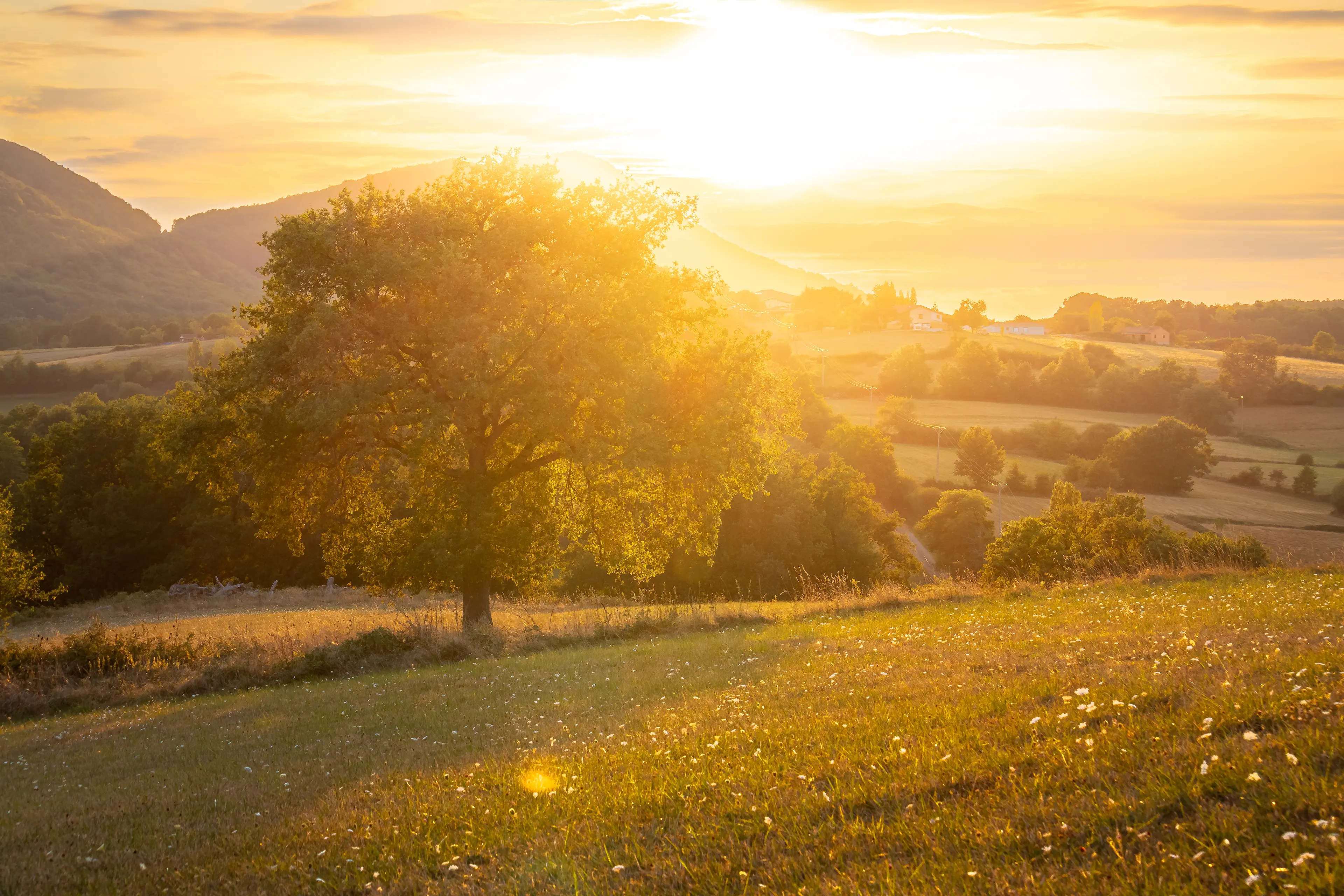 Coucher de soleil dans un champ sur une plaine