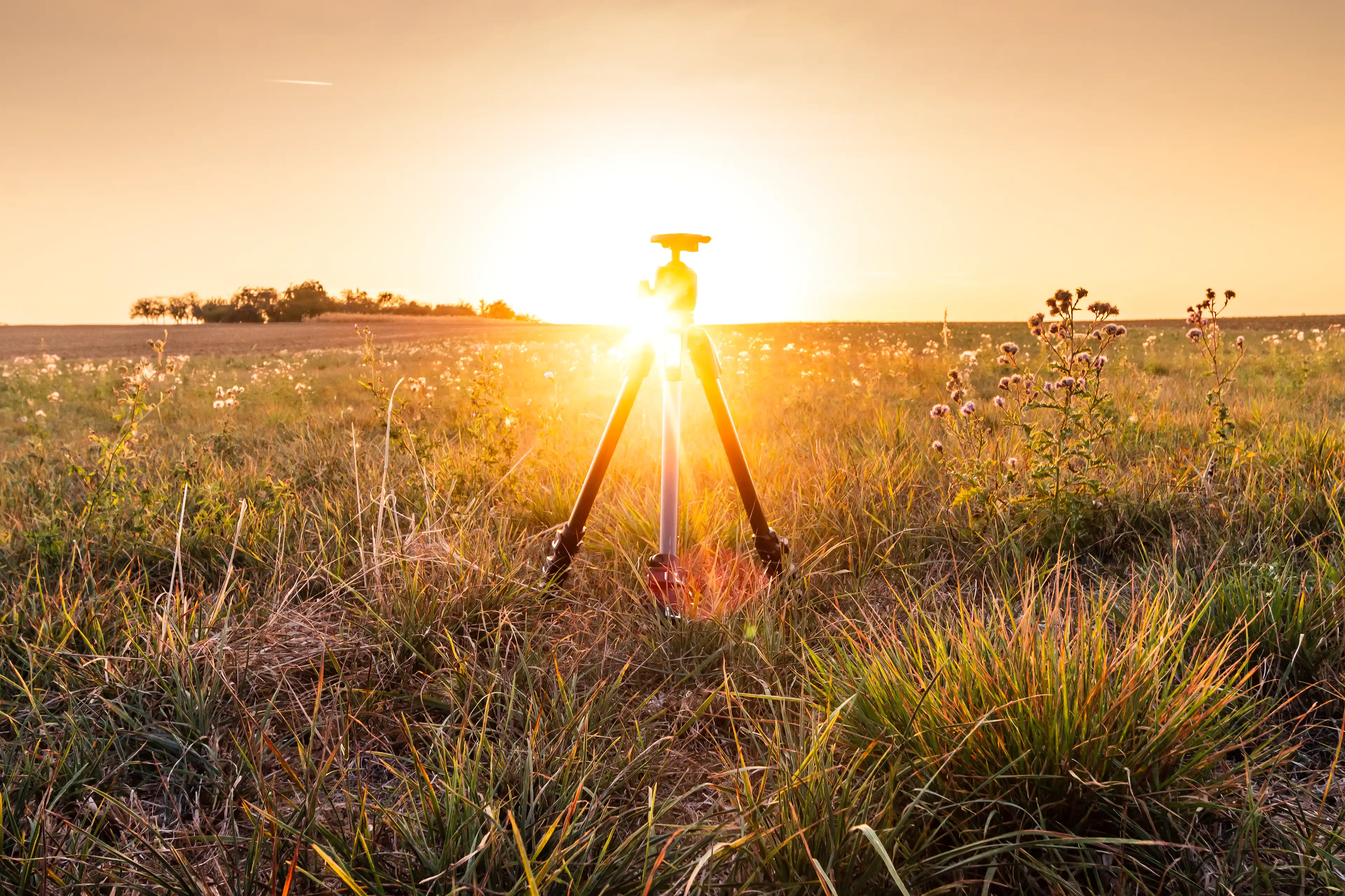 Trépied Manfrotto posé dans un champ au coucher du soleil
