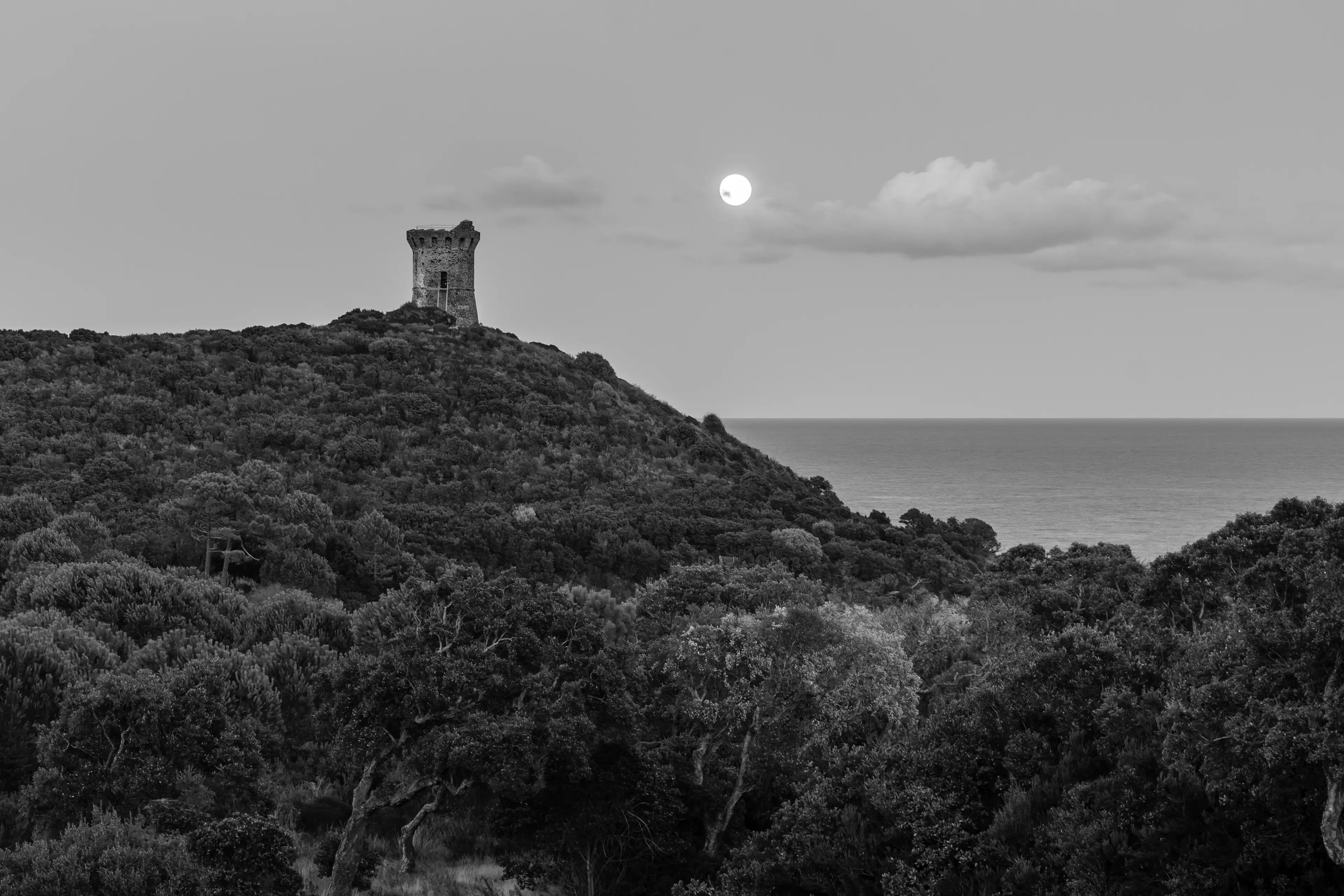 Petite tour au bord de la mer, en Corse, en noir et blanc