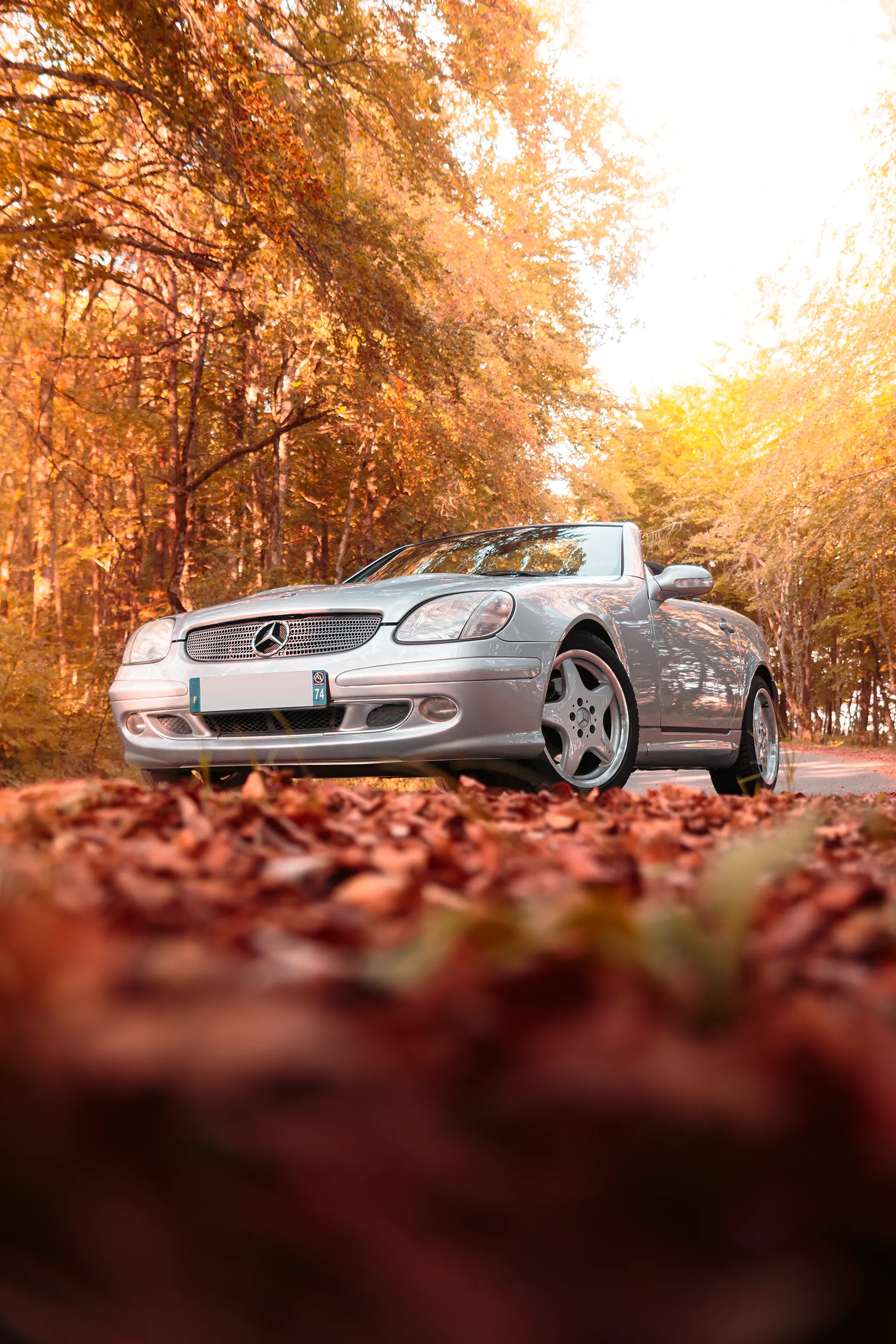 Mercedes SLK R170 grise de 3/4 avant devant un lit de feuilles mortes en automne
