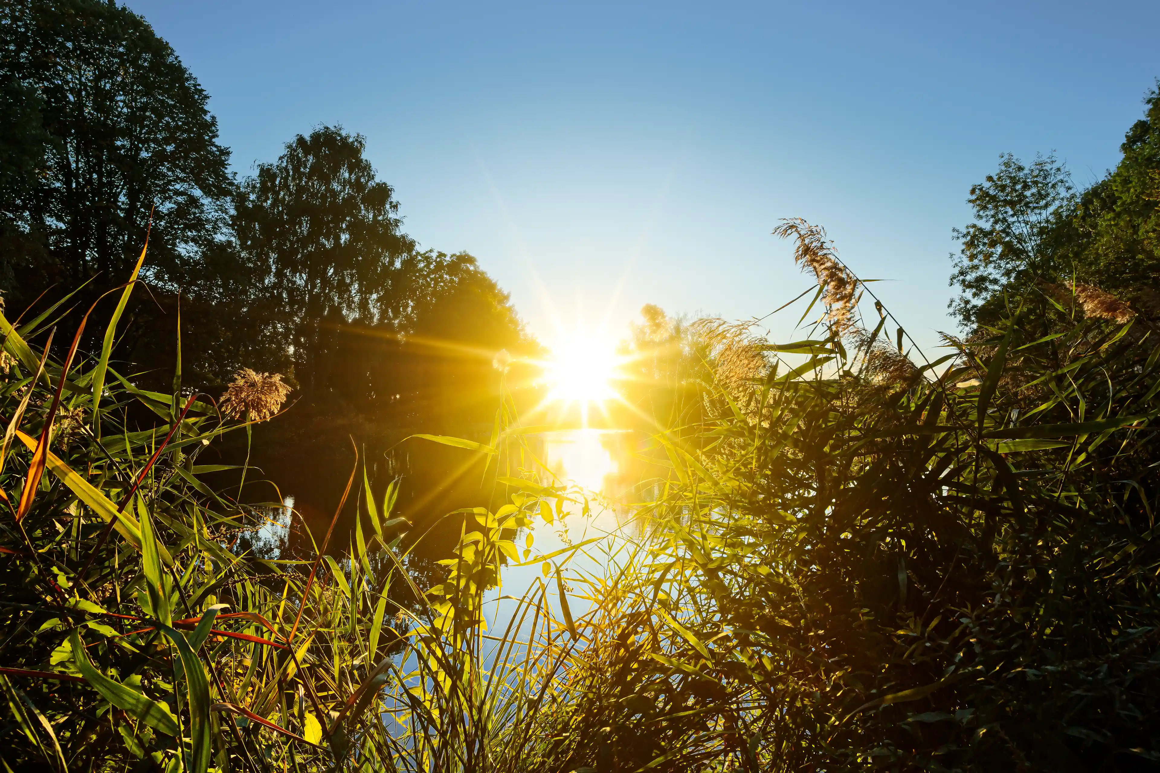 Coucher de soleil sur un point d'eau à Saulon-la-Chapelle en Côte d'Or