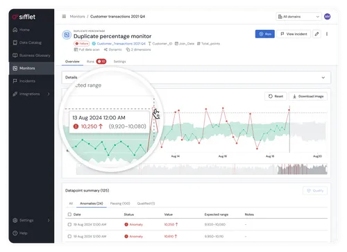 Sifflet dashboard features overview