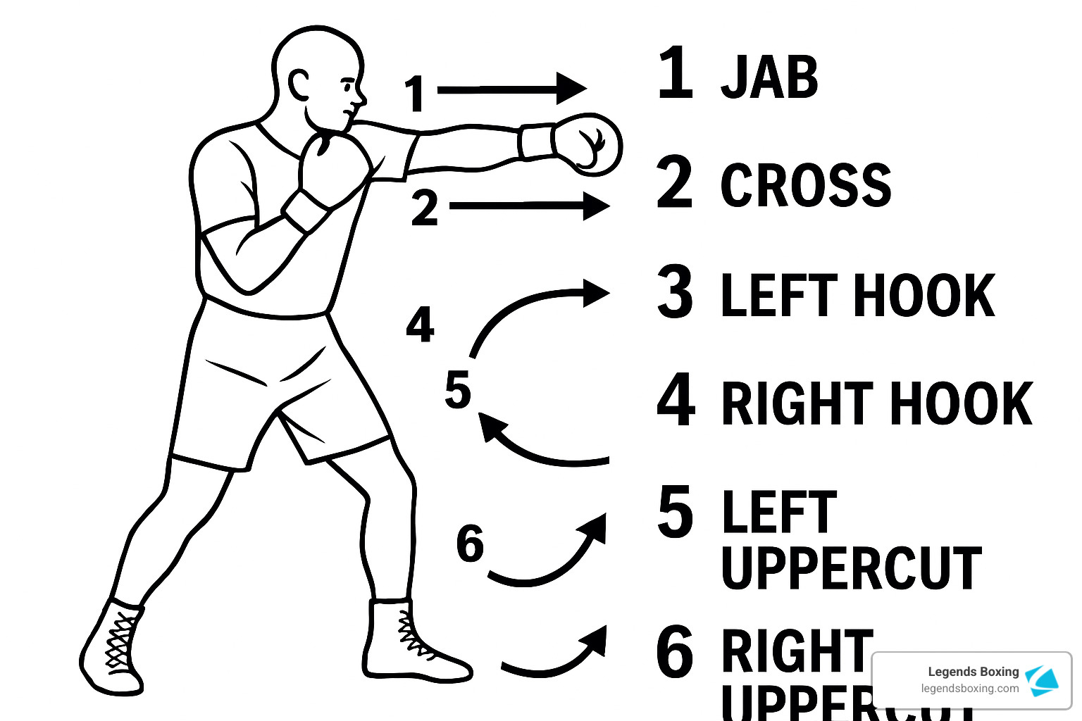 numbered boxing punch chart showing all six basic punches - basic boxing moves for beginners
