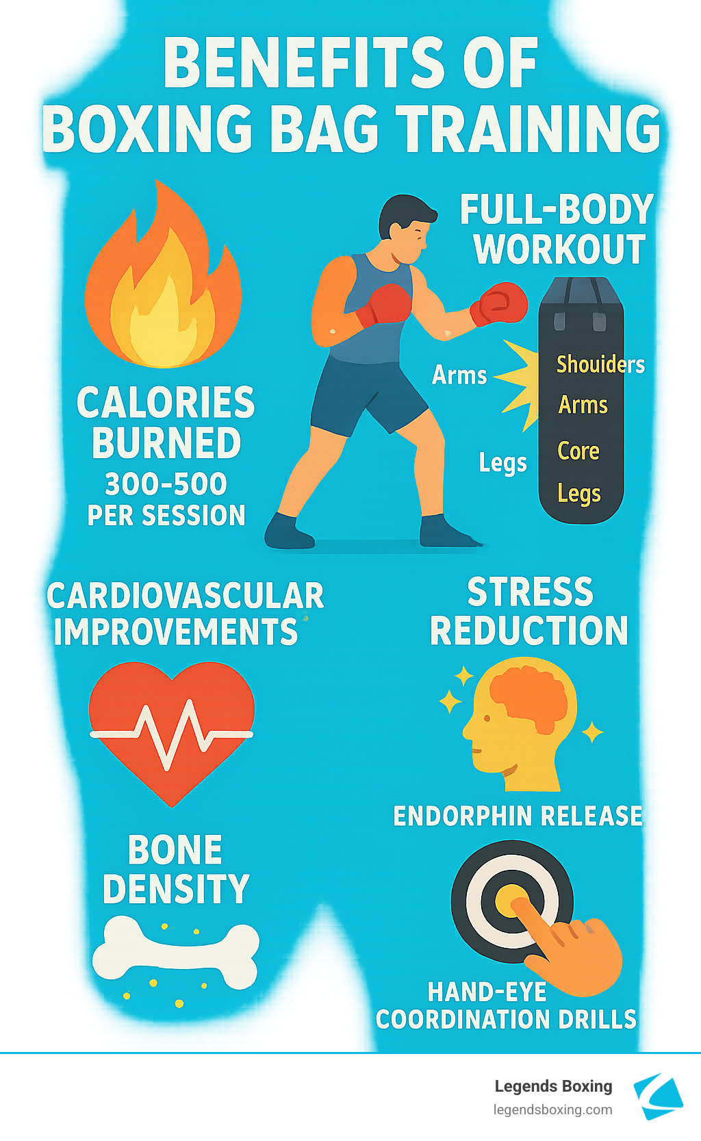 Comprehensive infographic showing the complete benefits of boxing bag training including calories burned per session (300-500), major muscle groups engaged (sholuders, arms, core, legs), cardiovascular improvements, stress reduction through endorphin release, bone density increases, and coordination improvement through hand-eye coordination drills - boxing bag training infographic 