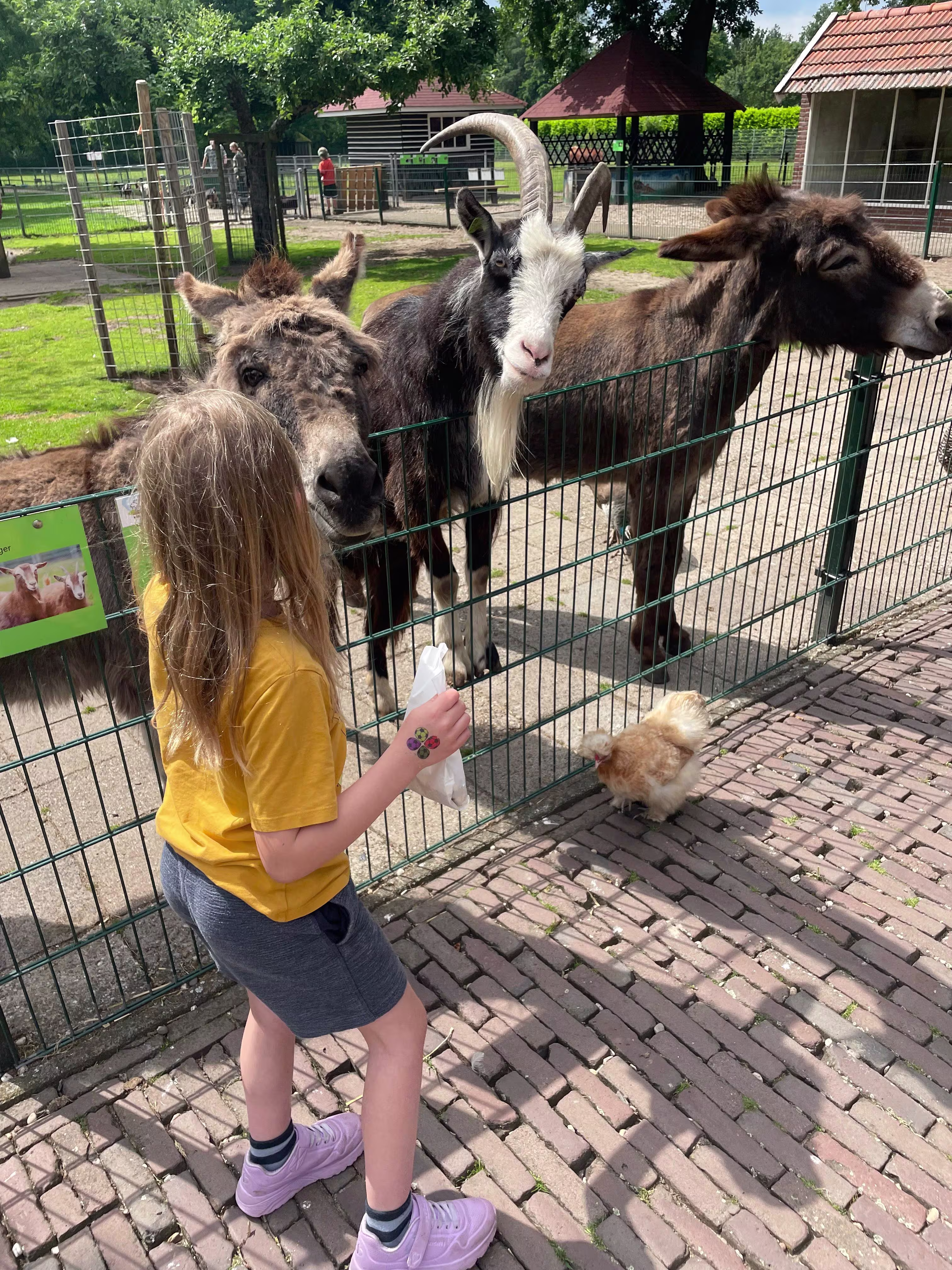 Kind met plezier op de BSO