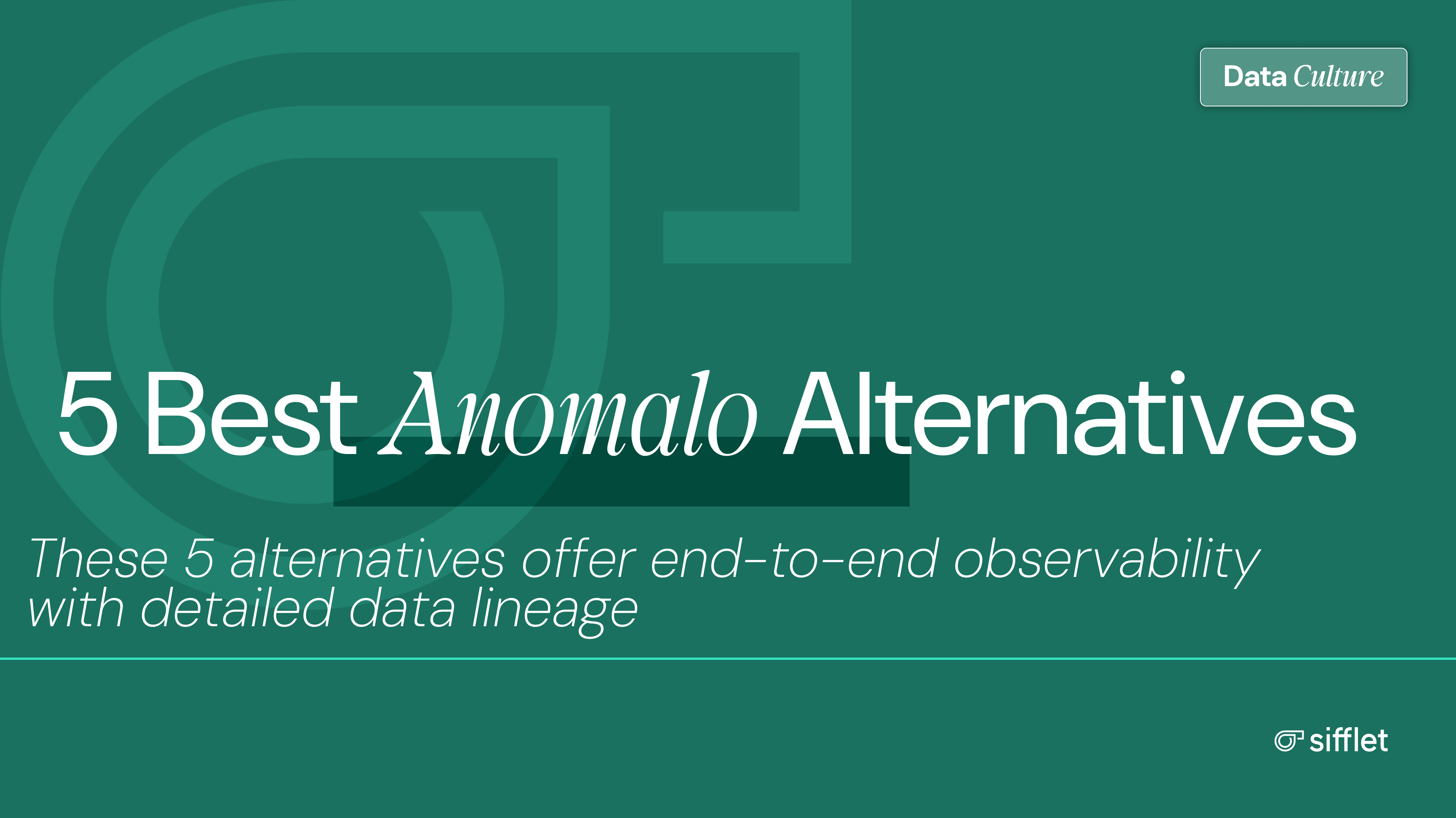 anomalo review 