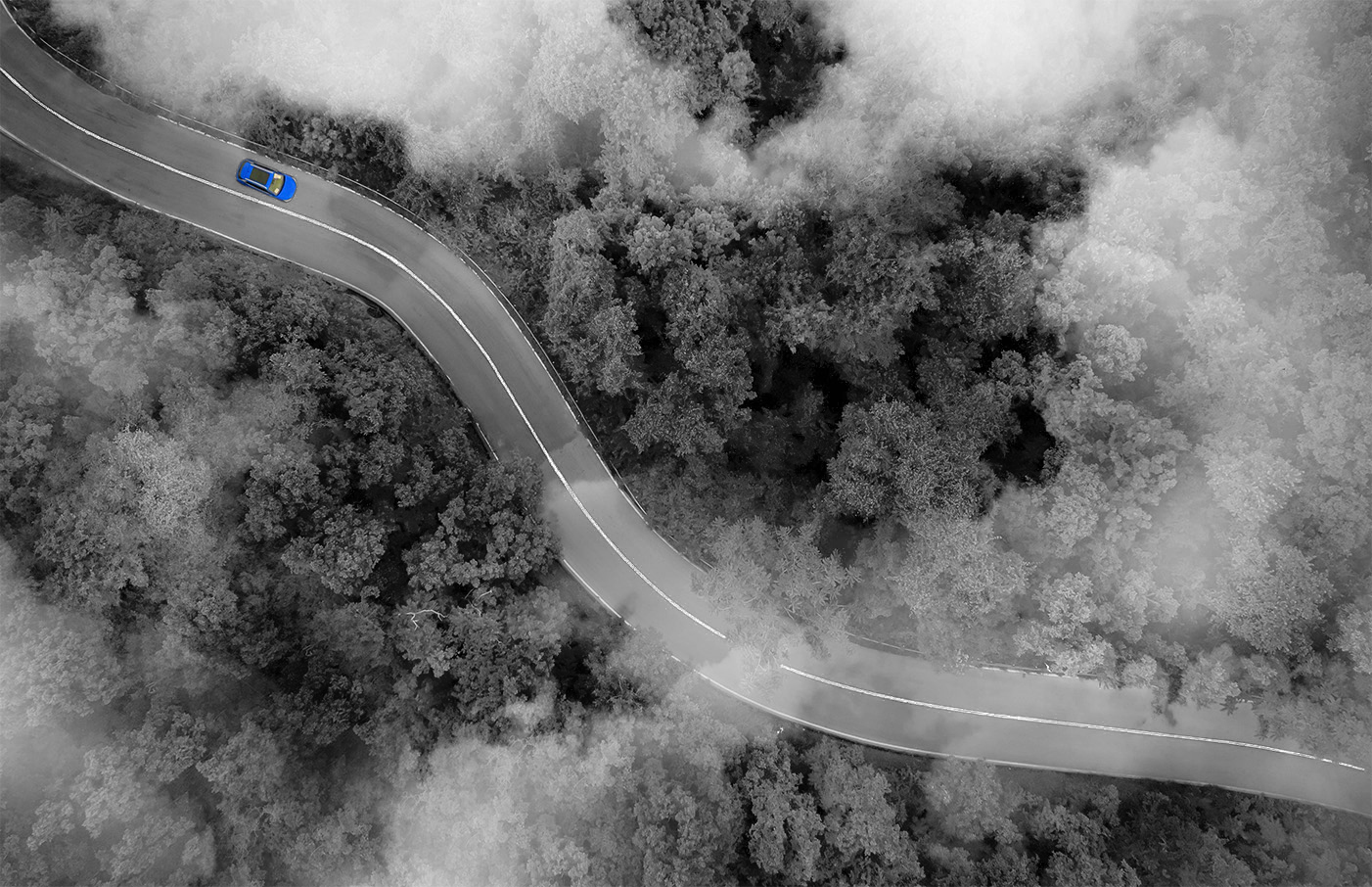 Nous en avons fait du chemin avec nos clients et ce n'est pas la fin.