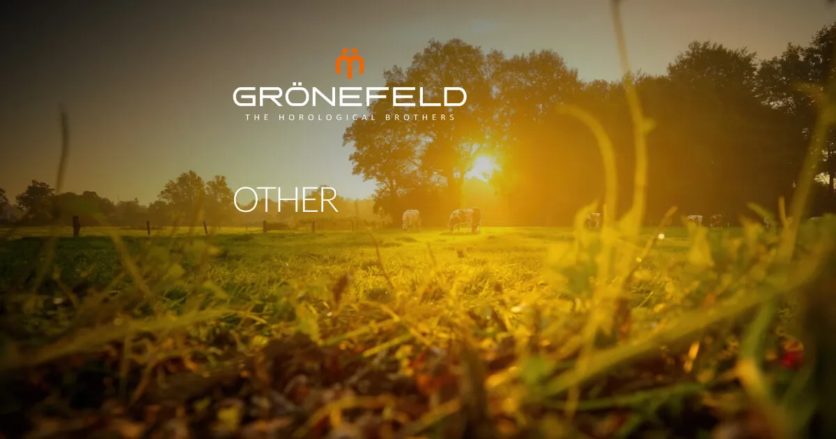 Gronefeld Other • Grönefeld - The Horological Brothers