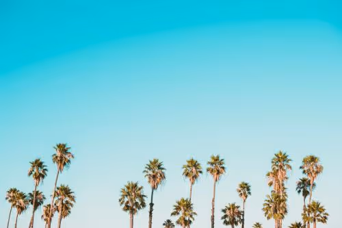 Startle Music: August Top 10 Songs