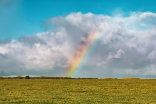 Is Experiential CX the key factor to Retail’s continued resurgence?