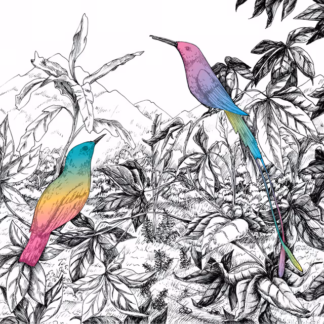 Album artwork 1