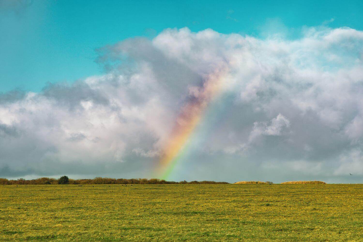 Is Experiential CX the key factor to Retail’s continued resurgence?