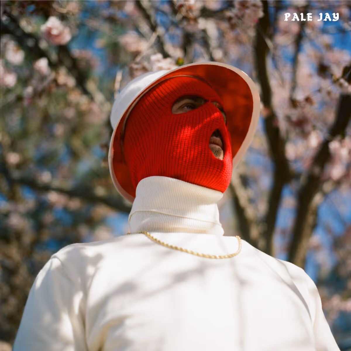 Album artwork 3
