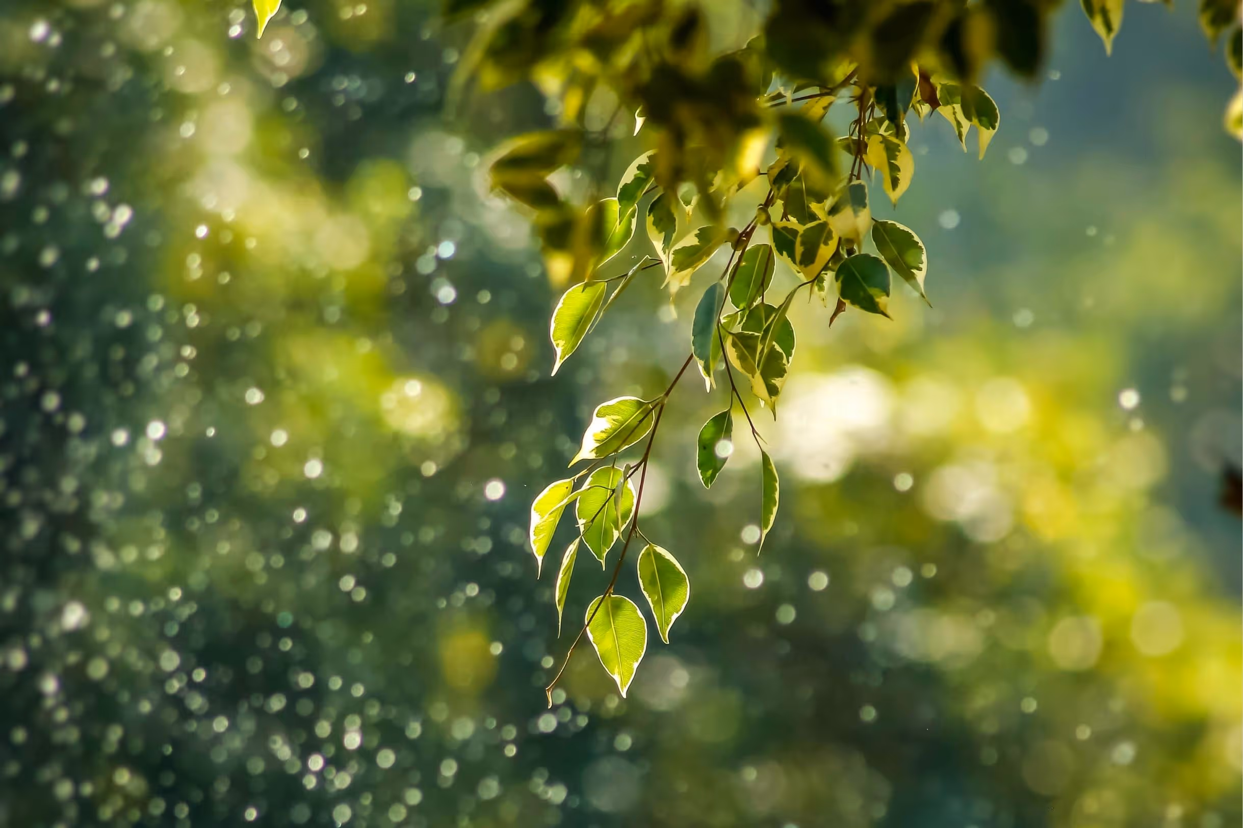 What is green noise?